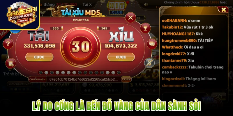 Lý do cổng là bến đỗ vàng của dân sành sỏi