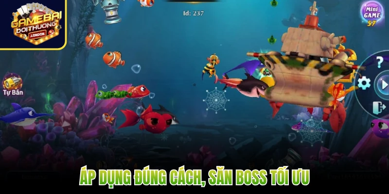 Áp dụng đúng cách, săn boss tối ưu