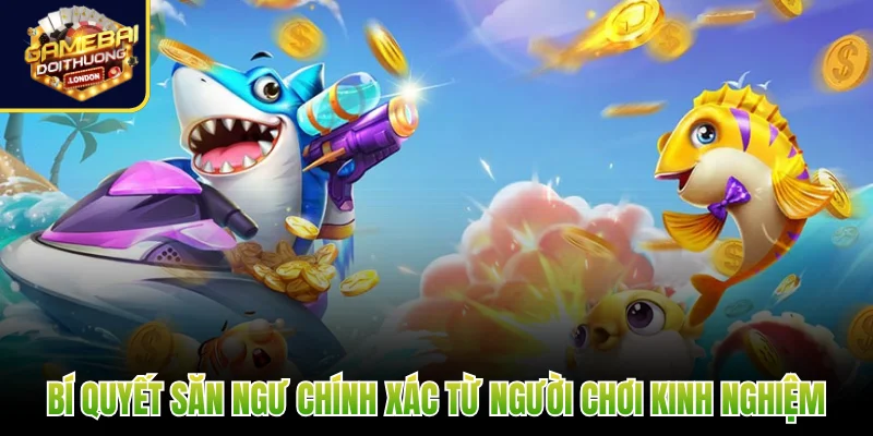 Bí quyết săn ngư chính xác từ người chơi kinh nghiệm