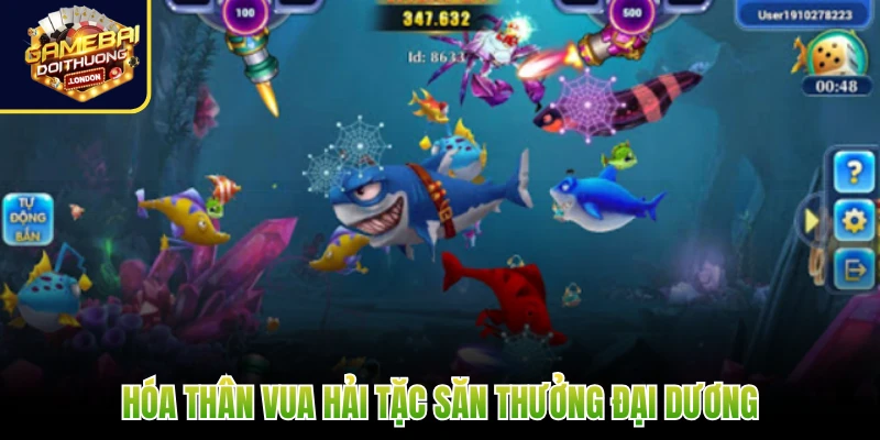 Hóa thân Vua Hải Tặc săn thưởng đại dương