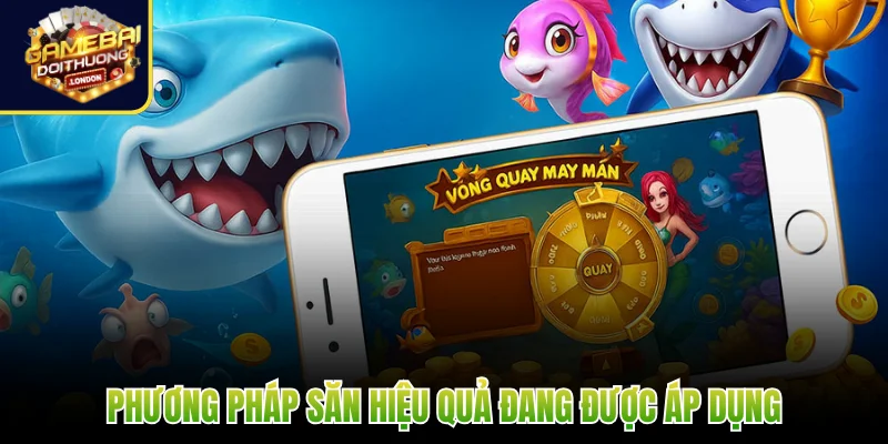 Phương pháp săn hiệu quả đang được áp dụng