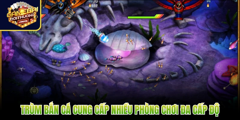 Trùm Bắn Cá cung cấp nhiều phòng chơi đa cấp độ