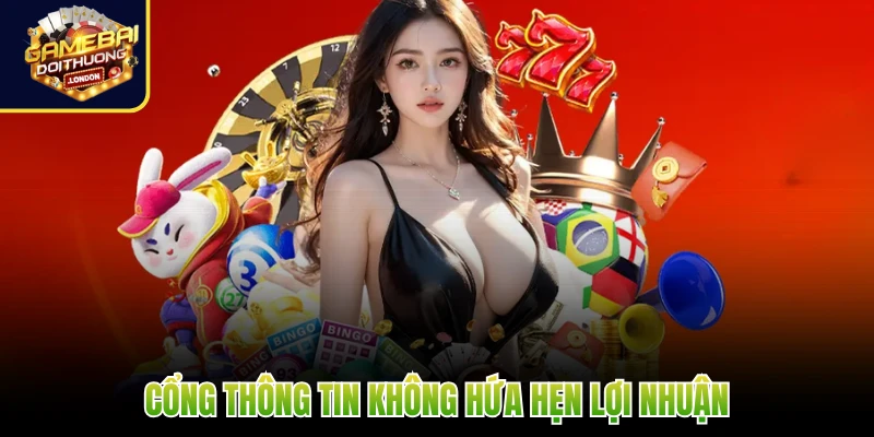 Cổng thông tin không hứa hẹn lợi nhuận